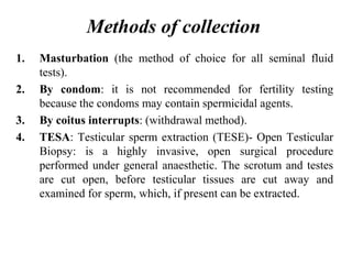 Methods of collection
1. Masturbation (the method of choice for all seminal fluid
tests).
2. By condom: it is not recommended for fertility testing
because the condoms may contain spermicidal agents.
3. By coitus interrupts: (withdrawal method).
4. TESA: Testicular sperm extraction (TESE)- Open Testicular
Biopsy: is a highly invasive, open surgical procedure
performed under general anaesthetic. The scrotum and testes
are cut open, before testicular tissues are cut away and
examined for sperm, which, if present can be extracted.
 