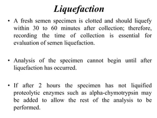 Liquefaction
• A fresh semen specimen is clotted and should liquefy
within 30 to 60 minutes after collection; therefore,
recording the time of collection is essential for
evaluation of semen liquefaction.
• Analysis of the specimen cannot begin until after
liquefaction has occurred.
• If after 2 hours the specimen has not liquified
proteolytic enzymes such as alpha-chymotrypsin may
be added to allow the rest of the analysis to be
performed.
 