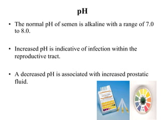 • The normal pH of semen is alkaline with a range of 7.0
to 8.0.
• Increased pH is indicative of infection within the
reproductive tract.
• A decreased pH is associated with increased prostatic
fluid.
pH
 