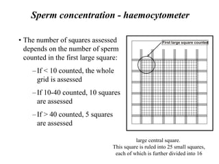 Sperm concentration - haemocytometer
• The number of squares assessed
depends on the number of sperm
counted in the first large square:
–If < 10 counted, the whole
grid is assessed
–If 10-40 counted, 10 squares
are assessed
–If > 40 counted, 5 squares
are assessed
First large square counted
large central square.
This square is ruled into 25 small squares,
each of which is further divided into 16
 