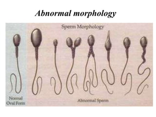 Abnormal morphology
 