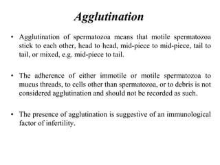 Agglutination
• Agglutination of spermatozoa means that motile spermatozoa
stick to each other, head to head, mid-piece to mid-piece, tail to
tail, or mixed, e.g. mid-piece to tail.
• The adherence of either immotile or motile spermatozoa to
mucus threads, to cells other than spermatozoa, or to debris is not
considered agglutination and should not be recorded as such.
• The presence of agglutination is suggestive of an immunological
factor of infertility.
 