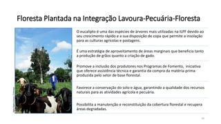 O eucalipto é uma das espécies de árvores mais utilizadas na ILPF devido ao
seu crescimento rápido e a sua disposição de copa que permite a insolação
para as culturas agrícolas e pastagens.
É uma estratégia de aproveitamento de áreas marginais que beneficia tanto
a produção de grãos quanto a criação de gado.
Promove a inclusão dos produtores nos Programas de Fomento, iniciativa
que oferece assistência técnica e garantia da compra da matéria-prima
produzida pelo setor de base florestal.
Favorece a conservação do solo e água, garantindo a qualidade dos recursos
naturais para as atividades agrícola e pecuária.
Possibilita a manutenção e reconstituição da cobertura florestal e recupera
áreas degradadas.
Floresta Plantada na Integração Lavoura-Pecuária-Floresta
10
SígliaReginaSouza/Embrapa
 