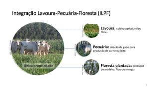 Integração Lavoura-Pecuária-Floresta (ILPF)
Lavoura: cultivo agrícola e/ou
fibras.
Pecuária: criação de gado para
produção de carne ou leite.
Floresta plantada: produção
de madeira, fibras e energia.
Única propriedade
3
GabrielR.Faria/Embrapa
RudsonVieira/Cenibra
JoãoCostaJr/Embrapa
GleisonRezende/BSC
 