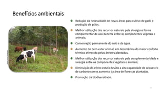 Benefícios ambientais
Redução da necessidade de novas áreas para cultivo de gado e
produção de grãos.
Melhor utilização dos recursos naturais pela sinergia e forma
complementar de uso da terra entre os componentes vegetais e
animais;
Conservação permanente do solo e da água.
Aumento do bem-estar animal, em decorrência do maior conforto
térmico oferecido pelas árvores plantadas.
Melhor utilização dos recursos naturais pela complementaridade e
sinergia entre os componentes vegetais e animais;
Diminuição do efeito estufa devido a alta capacidade de sequestro
de carbono com o aumento da área de florestas plantadas.
Promoção da biodiversidade.
6
PauloKurtz/Embrapa
 