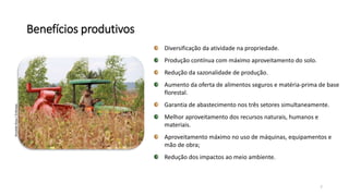 Benefícios produtivos
Diversificação da atividade na propriedade.
Produção contínua com máximo aproveitamento do solo.
Redução da sazonalidade de produção.
Aumento da oferta de alimentos seguros e matéria-prima de base
florestal.
Garantia de abastecimento nos três setores simultaneamente.
Melhor aproveitamento dos recursos naturais, humanos e
materiais.
Aproveitamento máximo no uso de máquinas, equipamentos e
mão de obra;
Redução dos impactos ao meio ambiente.
7
RonaldoRosa/Embrapa
 