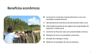 Benefícios econômicos
Aumento de renda dos empreendimentos rurais com
atividades complementares.
Aproveitamento econômico do solo durante todo o ano.
Valorização do potencial de negócio das propriedades de
pequeno e médio porte.
Aumento do fluxo de caixa com produtividade contínua.
Redução de riscos nas atividades comerciais.
Geração de emprego e renda.
Melhoria da qualidade de vida do produtor.
8
GleisonRezende/BSC
 