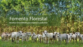 Fomento Florestal
Benefício compartilhado para empresas e produtores
FabianoMarquesDouradoBastos/Embrapa
1
 