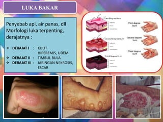 Final slide-prof-kt | PPT