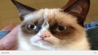 105Bus-810W
DTC Marketing
 