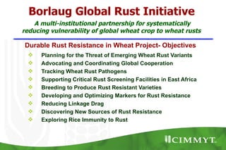 Borlaug Global Rust Initiative
    A multi-institutional partnership for systematically
reducing vulnerability of global wheat crop to wheat rusts

Durable Rust Resistance in Wheat Project- Objectives
     Planning for the Threat of Emerging Wheat Rust Variants
     Advocating and Coordinating Global Cooperation
     Tracking Wheat Rust Pathogens
     Supporting Critical Rust Screening Facilities in East Africa
     Breeding to Produce Rust Resistant Varieties
     Developing and Optimizing Markers for Rust Resistance
     Reducing Linkage Drag
     Discovering New Sources of Rust Resistance
     Exploring Rice Immunity to Rust
 