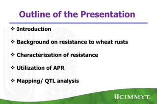 Outline of the Presentation
 Introduction

 Background on resistance to wheat rusts

 Characterization of resistance

 Utilization of APR

 Mapping/ QTL analysis
 