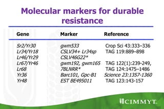 Molecular markers for durable
          resistance
Gene        Marker           Reference

Sr2/Yr30    gwm533           Crop Sci 43:333–336
Lr34/Yr18   CSLV34+ Lr34sp   TAG 119:889–898
Lr46/Yr29   CSLV46G22*
Lr67/Yr46   gwm192, gwm165 TAG 122(1):239-249,
Lr68        7BLNRR*          TAG 124:1475–1486
Yr36        Barc101, Gpc-B1 Science 23:1357-1360
Yr48        EST BE495011     TAG 123:143-157
 