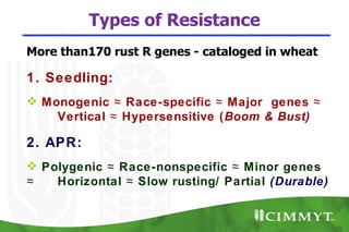 Types of Resistance
More than170 rust R genes - cataloged in wheat

1. Seedling:
 Monogenic ≈ Race-specific ≈ Major genes ≈
    Vertical ≈ Hypersensitive ( Boom & Bust)

2. APR:
 Polygenic ≈ Race-nonspecific ≈ Minor genes
≈   Horizontal ≈ Slow rusting/ Partial (Durable)
 
