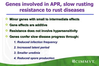 Genes involved in APR, slow rusting
     resistance to rust diseases
 Minor genes with small to intermediate effects
 Gene effects are additive
 Resistance does not involve hypersensitivity
 Genes confer slow disease progress through:
     1. Reduced infection frequency
     2. Increased latent period
     3. Smaller uredinia
     4. Reduced spore production
 