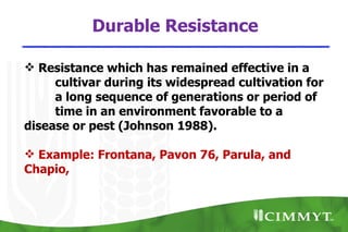 Durable Resistance

 Resistance which has remained effective in a
     cultivar during its widespread cultivation for
     a long sequence of generations or period of
     time in an environment favorable to a
disease or pest (Johnson 1988).

 Example: Frontana, Pavon 76, Parula, and
Chapio,
 