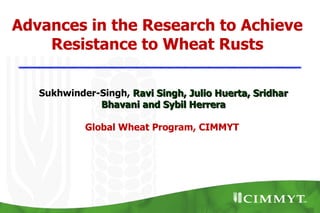 Advances in the Research to Achieve
    Resistance to Wheat Rusts

   Sukhwinder-Singh, Ravi Singh, Julio Huerta, Sridhar
              Bhavani and Sybil Herrera

            Global Wheat Program, CIMMYT
 