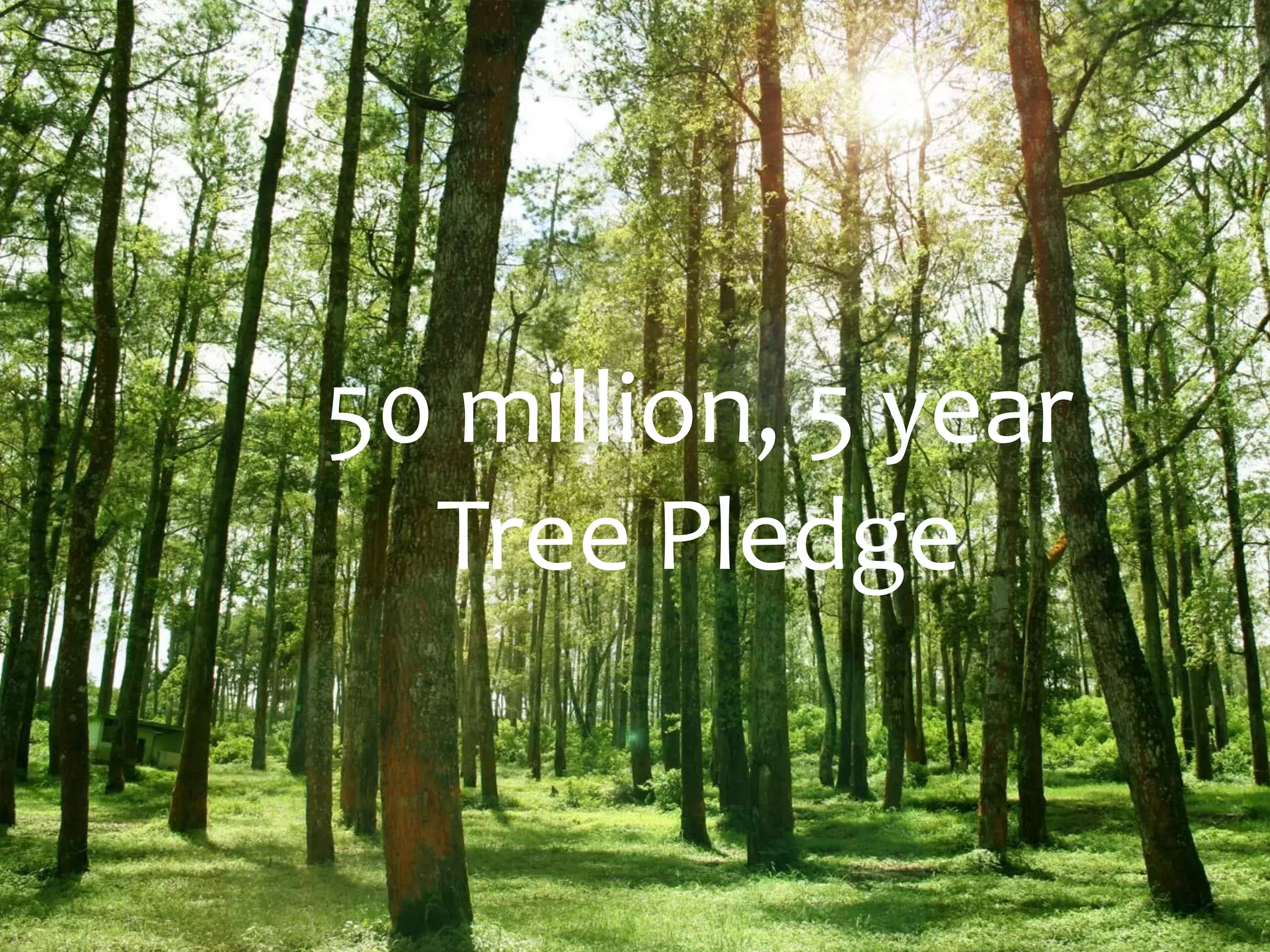 50 million, 5 year
  Tree Pledge
 