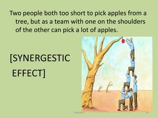 Two people both too short to pick apples from a
tree, but as a team with one on the shoulders
of the other can pick a lot of apples.
[SYNERGESTIC
EFFECT]
28SYNERGY
 