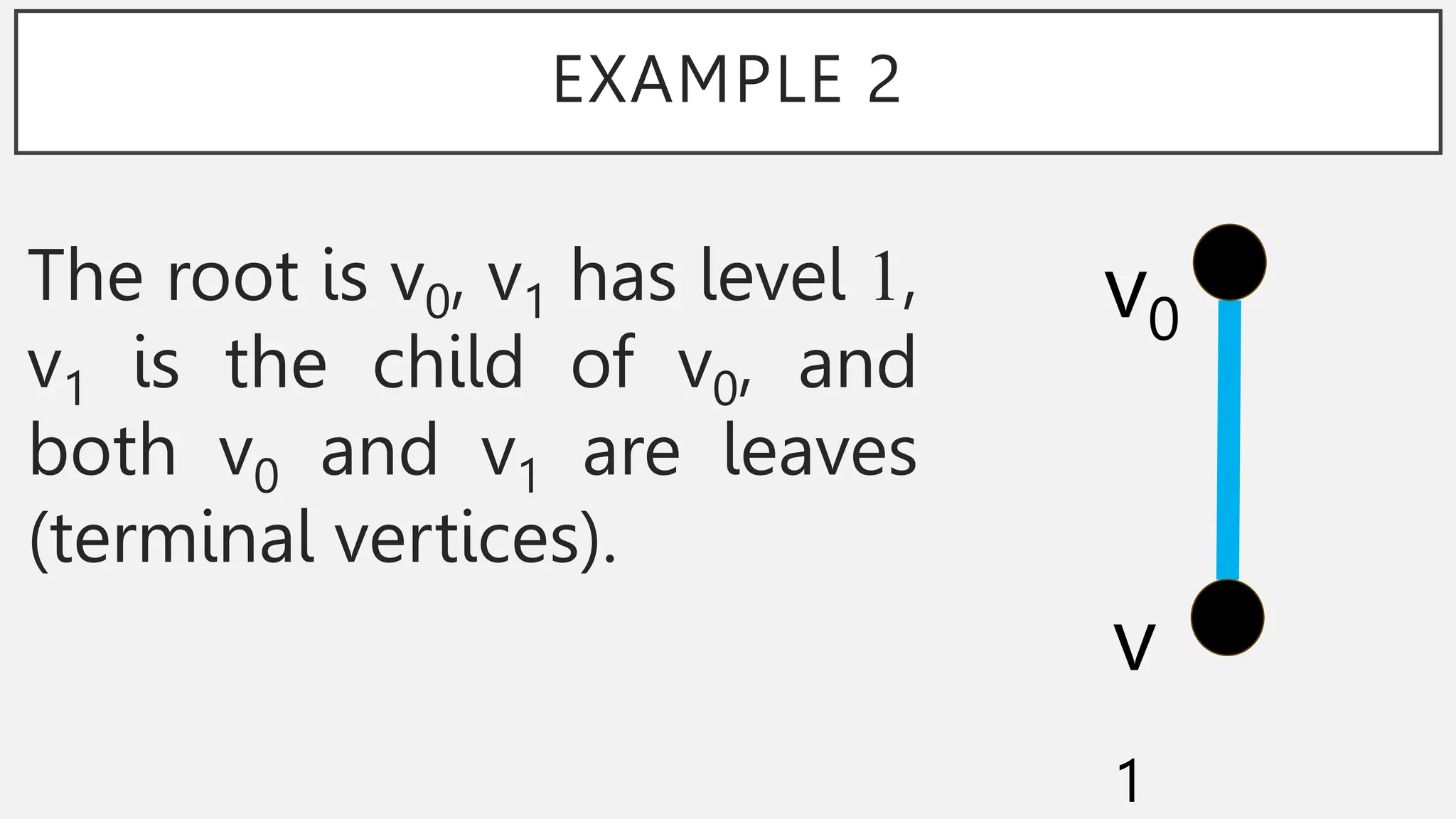 EXAMPLE 2
The root is v0, v1 has level 1,
v1 is the child of v0, and
both v0 and v1 are leaves
(terminal vertices).
v0
v
1
 