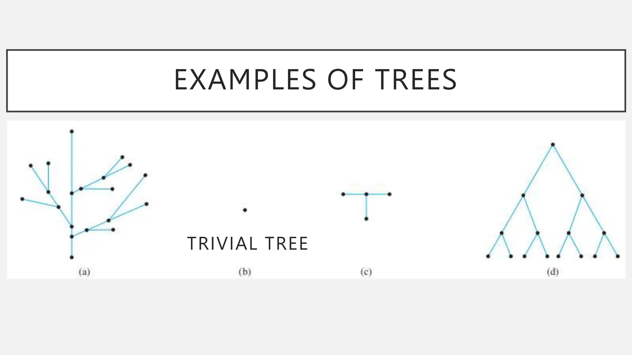 EXAMPLES OF TREES
TRIVIAL TREE
 
