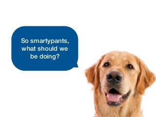 The tail is wagging the dog... and other cautionary tales of bad ...
