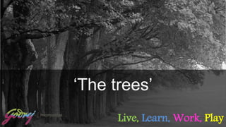 ‘The trees’ 
Live, Learn,Work, Play 
 