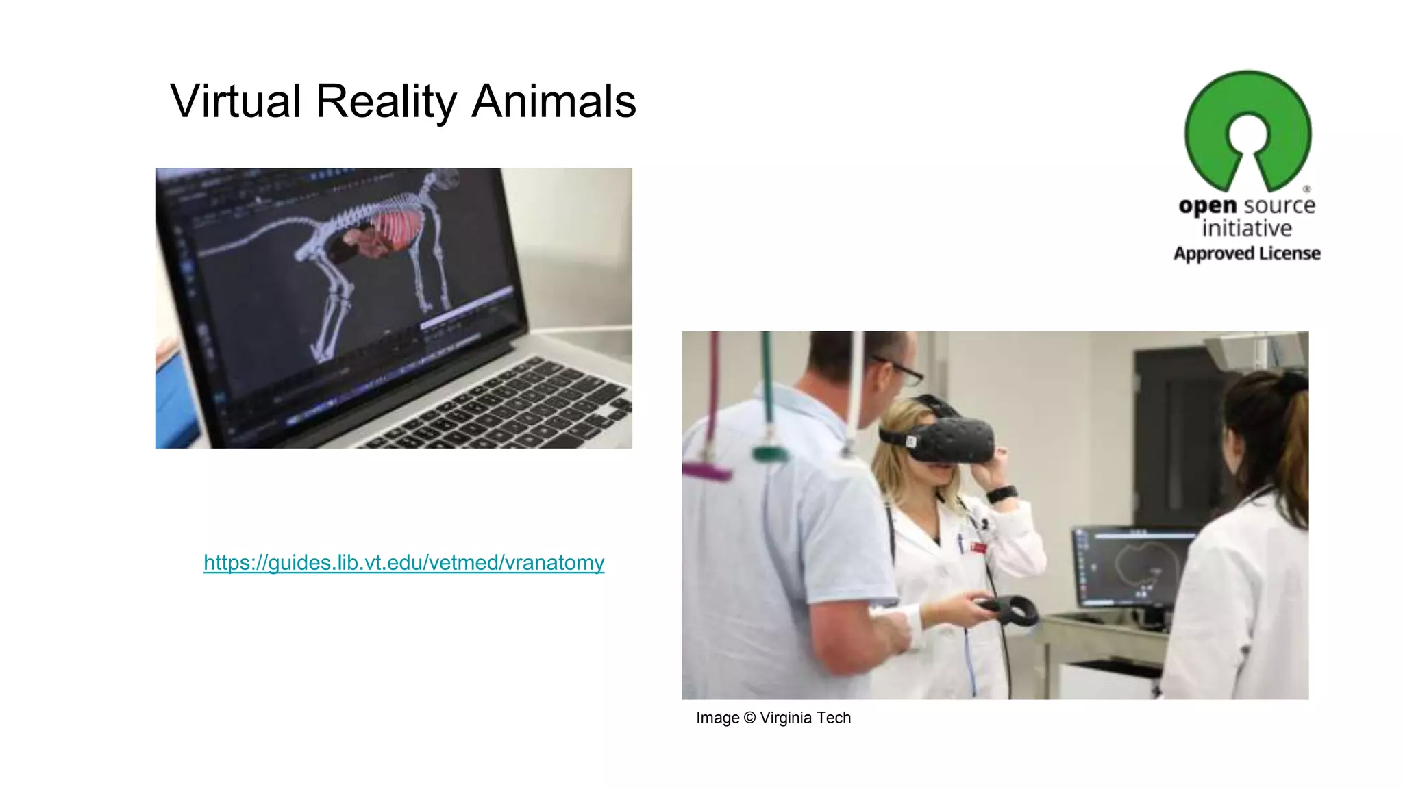 https://guides.lib.vt.edu/vetmed/vranatomy
Virtual Reality Animals
Image © Virginia Tech
 