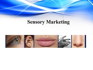 Sensory Marketing
 