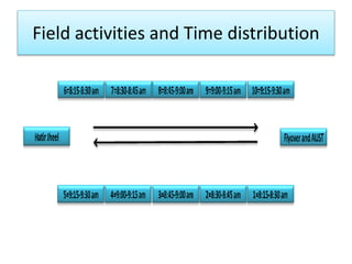 Field activities and Time distribution 
 