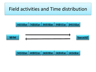 Field activities and Time distribution

 