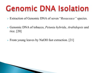  Extraction of Genomic DNA of seven “Rosaceace” species.
 Genomic DNA of tobacco, Petunia hybrida, Arabidopsis and
rice. [20]
 From young leaves by NaOH fast extraction. [21]
 