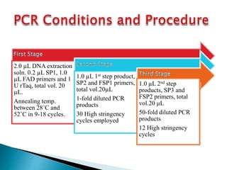 Nested PCR,Fusion primers, Integrated PCR | PPTX