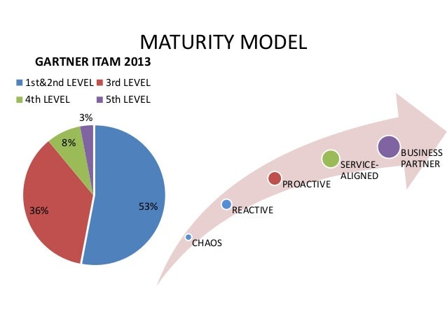 IT ASSET MANAGEMENT