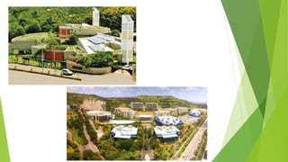 Indoor Environmental Quality (IEQ) | PPTX