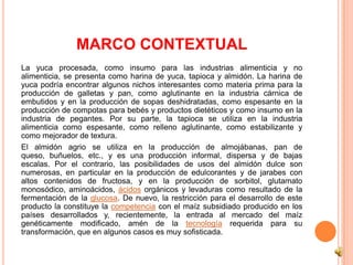 MARCO CONTEXTUAL
La yuca procesada, como insumo para las industrias alimenticia y no
alimenticia, se presenta como harina de yuca, tapioca y almidón. La harina de
yuca podría encontrar algunos nichos interesantes como materia prima para la
producción de galletas y pan, como aglutinante en la industria cárnica de
embutidos y en la producción de sopas deshidratadas, como espesante en la
producción de compotas para bebés y productos dietéticos y como insumo en la
industria de pegantes. Por su parte, la tapioca se utiliza en la industria
alimenticia como espesante, como relleno aglutinante, como estabilizante y
como mejorador de textura.
El almidón agrio se utiliza en la producción de almojábanas, pan de
queso, buñuelos, etc., y es una producción informal, dispersa y de bajas
escalas. Por el contrario, las posibilidades de usos del almidón dulce son
numerosas, en particular en la producción de edulcorantes y de jarabes con
altos contenidos de fructosa, y en la producción de sorbitol, glutamato
monosódico, aminoácidos, ácidos orgánicos y levaduras como resultado de la
fermentación de la glucosa. De nuevo, la restricción para el desarrollo de este
producto la constituye la competencia con el maíz subsidiado producido en los
países desarrollados y, recientemente, la entrada al mercado del maíz
genéticamente modificado, amén de la tecnología requerida para su
transformación, que en algunos casos es muy sofisticada.
 