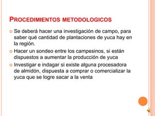 PROCEDIMIENTOS METODOLOGICOS
 Se deberá hacer una investigación de campo, para
  saber qué cantidad de plantaciones de yuca hay en
  la región.
 Hacer un sondeo entre los campesinos, si están
  dispuestos a aumentar la producción de yuca
 Investigar e indagar si existe alguna procesadora
  de almidón, dispuesta a comprar o comercializar la
  yuca que se logre sacar a la venta
 