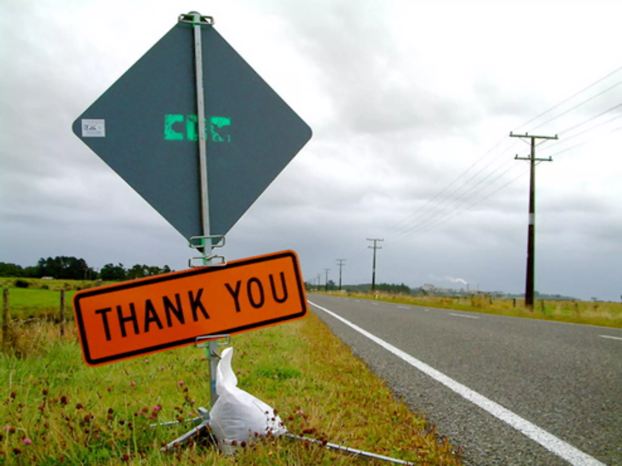 Foresight in New Zealand