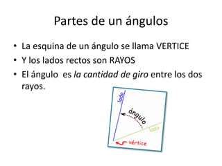 Partes de un ángulos
• La esquina de un ángulo se llama VERTICE
• Y los lados rectos son RAYOS
• El ángulo es la cantidad de giro entre los dos
rayos.
 