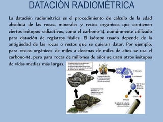 DATACIÓN RADIOMÉTRICA
La datación radiométrica es el procedimiento de cálculo de la edad
absoluta de las rocas, minerales y restos orgánicos que contienen
ciertos isótopos radiactivos, como el carbono-14, comúnmente utilizado
para datación de registros fósiles. El isótopo usado depende de la
antigüedad de las rocas o restos que se quieran datar. Por ejemplo,
para restos orgánicos de miles a decenas de miles de años se usa el
carbono-14, pero para rocas de millones de años se usan otros isótopos
de vidas medias más largas.
 
