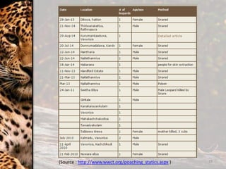 19(Source : http://www.wwct.org/poaching_statics.aspx )
 
