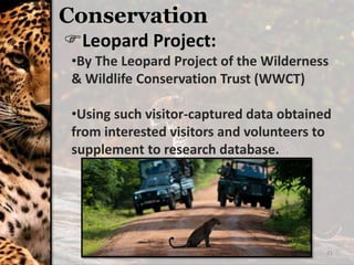 21
Conservation
Leopard Project:
•By The Leopard Project of the Wilderness
& Wildlife Conservation Trust (WWCT)
•Using such visitor-captured data obtained
from interested visitors and volunteers to
supplement to research database.
 