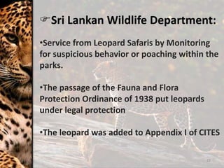 22
Sri Lankan Wildlife Department:
•Service from Leopard Safaris by Monitoring
for suspicious behavior or poaching within the
parks.
•The passage of the Fauna and Flora
Protection Ordinance of 1938 put leopards
under legal protection
•The leopard was added to Appendix I of CITES
 