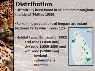 5
Distribution
•Historically been found in all habitats throughout
the island (Phillips 1935)
•Remaining populations of leopard are extant
National Parks which cover 12%
•Habitat types (Santiapillai 1982)
arid zone (<1000 mm)
dry zone (1000-2000 mm)
wet zone (>2000 mm)
lowland
sub-montane
montane
 