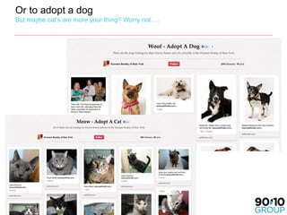 Or to adopt a dog
But maybe cat’s are more your thing? Worry not….
 