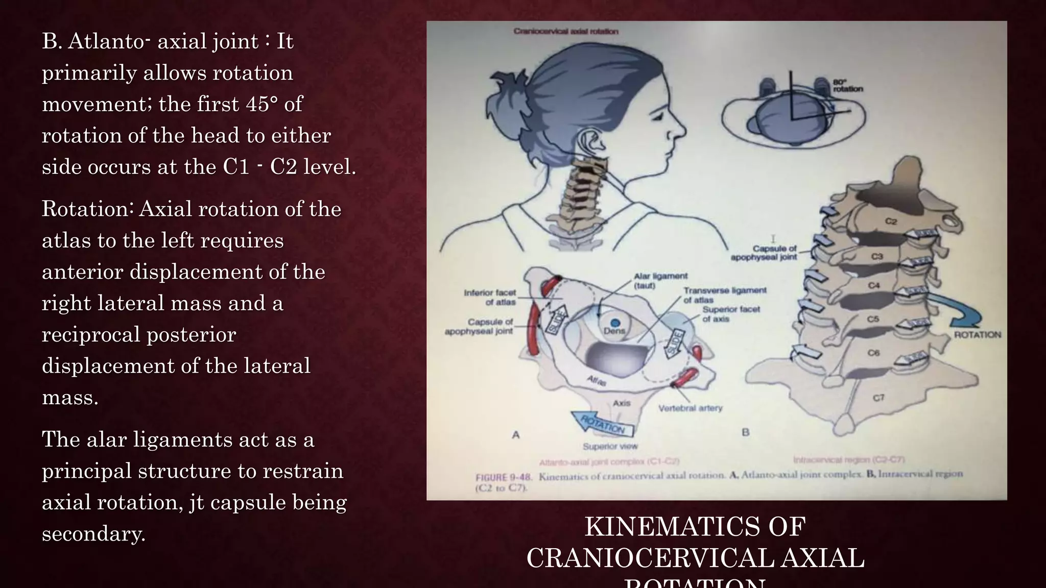 Applied Biomechanics of Cervical Spine | PPTX
