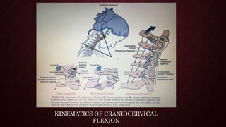 Applied Biomechanics of Cervical Spine | PPTX