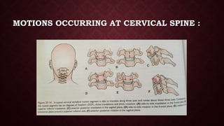 Applied Biomechanics of Cervical Spine | PPTX