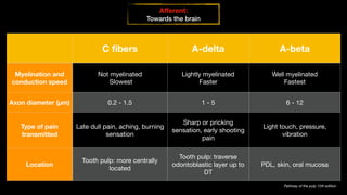 Final 1 PDF Undergrad D25 PAIN presentation tufts FINAL draft .pdf