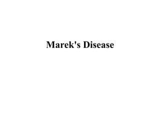 Marek's Disease
 